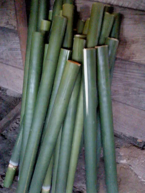 Bamboo coated with banana leaves inside